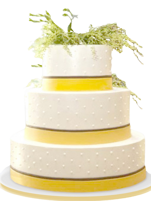 Sunny Times Wedding Cake