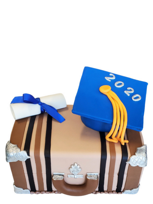 Suitcase Graduation cake