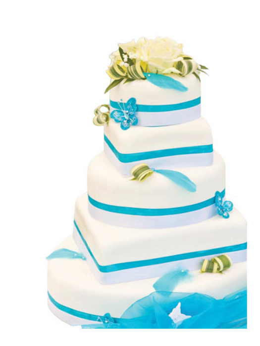 Wedding Cake Sharing Life