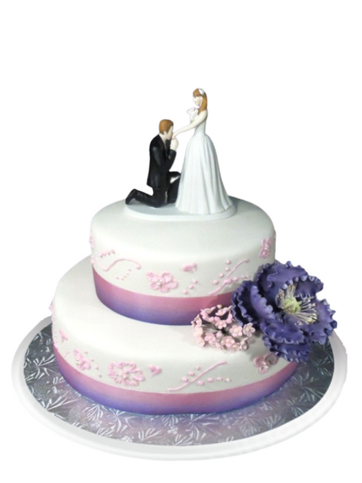 Beautiful Bride Wedding Cake