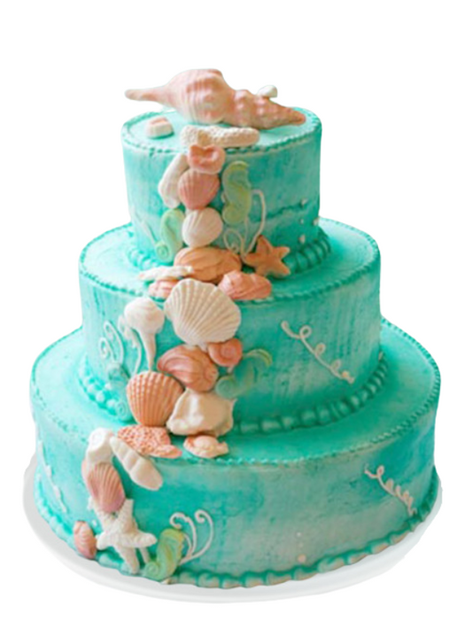 Wedding Cake Ocean Shells